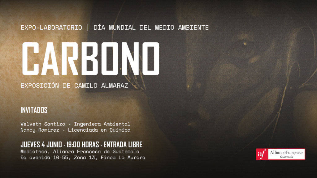Visuales - junio - 05 carbono banner