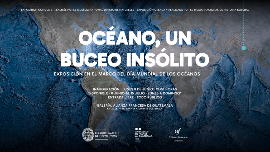 Visuales - junio - 8 FEF OCEAN banner