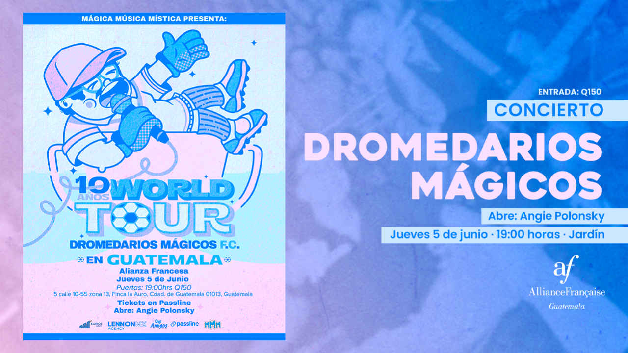 Visuales - 5 dromedarios mágicos