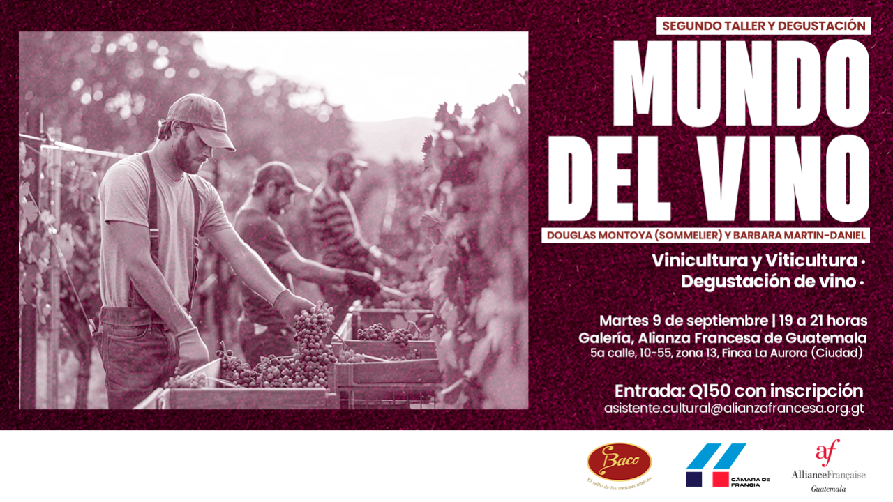 Visuales - septiembre - banner mundo del vino